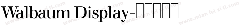 Walbaum Display字体转换